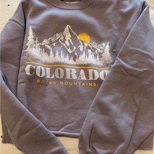 Purple Hollister crew neck XS super cute